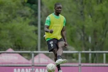 Construyó su carrera en suelo internacional y volvió para continuarla en el país