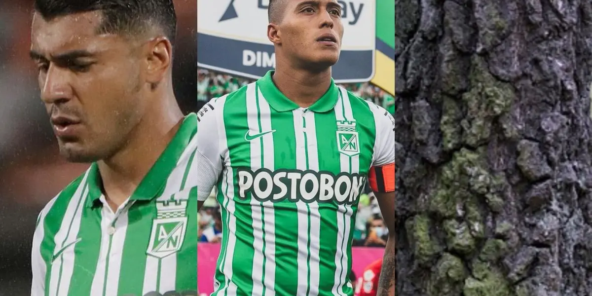 El delantero perdió la oportunidad de darle la clasificación a Atlético Nacional a los octagonales finales de la liga Betplay