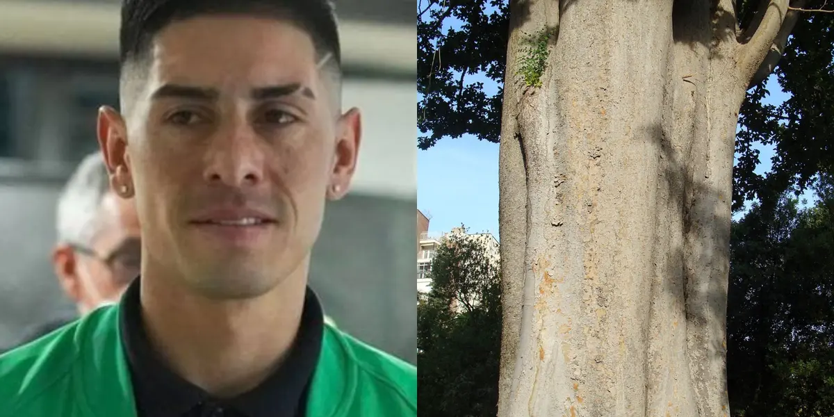 El equipo de comunicación hizo oficial la renovación de Danovis Banguero y Jhon Duque