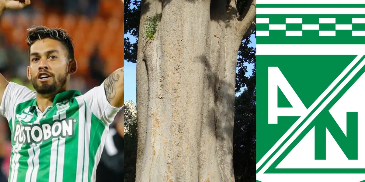 El jugador fue futbolista de Atlético Nacional hasta la temporada 2022