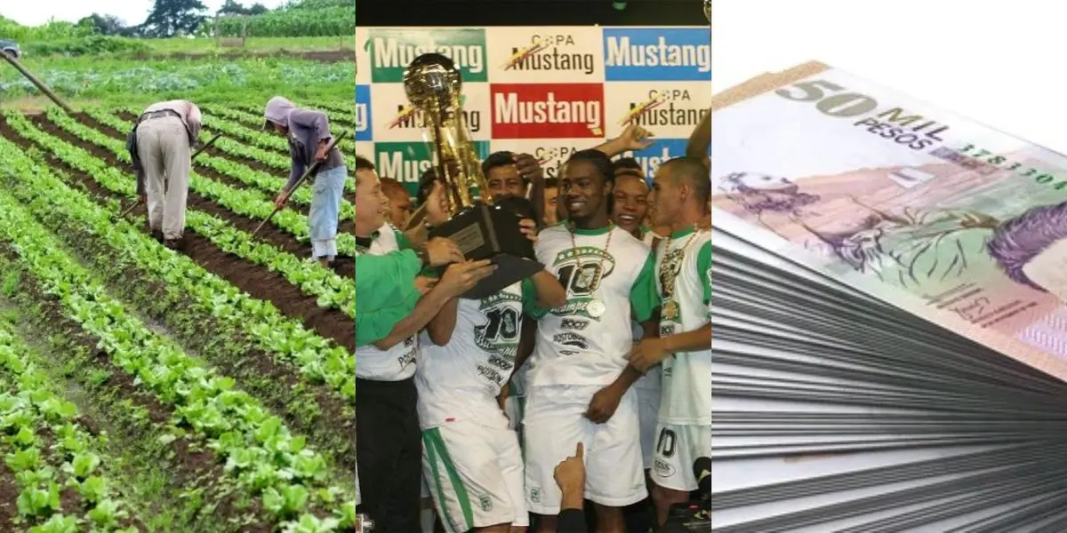 El jugador fue tres veces campeón con Atlético Nacional y ahora tiene un negocio vinculado a la agricultura.