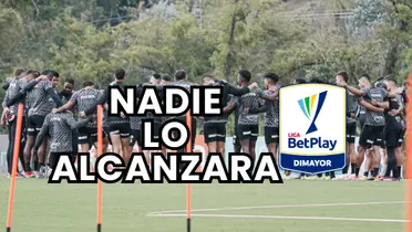 Jugadores de Atlético Nacional en esta temporada Foto: Nacionaloficial y Escudoteca PN