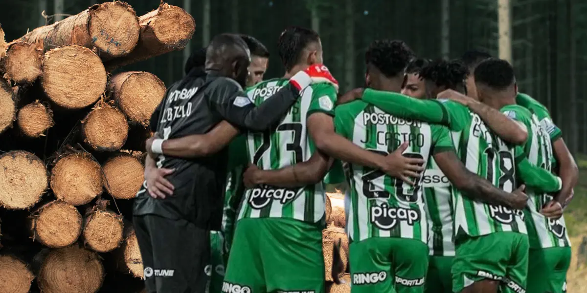 Los jugadores de Atlético Nacional en esta temporada Foto: Pexels y Futbolred